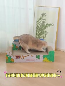HELLOLEIBOO | Durable Scratch Resistant Cat Scratching Board Cat Bed