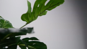 Edifier MP330 ลำโพงบลูทูธพกพา V6.0 พลังเสียง 40W RMS 360° สัมผัสประสบการณ์เสียงความละเอียดสูง เล่นได้นานถึง 19 ชั่วโมง รองรับอินพุต USB-C และการ์ด TF และแอป EDIFIER ConneX