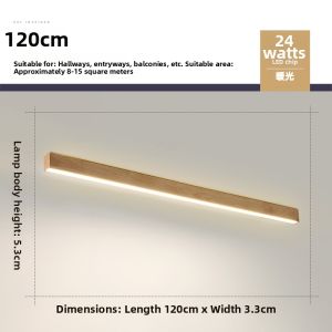 FANZHEN | Minimalist Linear Ceiling Light for Hall Living Room Office