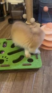 Cat Puzzle Toy Felt Maze Box with 3 Ball Interactive Cat Agility Toys Pet Teasing Bell