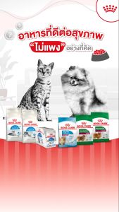 ROYAL CANIN (โรยัล คานิน) อาหารเม็ดแมวโตเลี้ยงในบ้าน  (INDOOR) 2 kg.