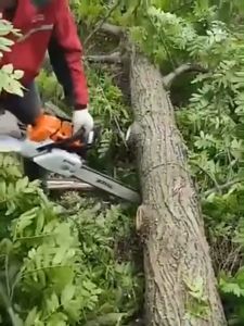 JX MALL Gasoline saw 18/20/22 inch Heavy Duty Petrol Chain Saw 52CC Professional Mesin Tebang Pokok