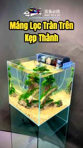 Máng Lọc Tràn Trên Kèm Máy Bơm BAOYU Cho Hồ Cá Cảnh Thủy Sinh G-30 G50 G60 (Chưa có gồm VLL)