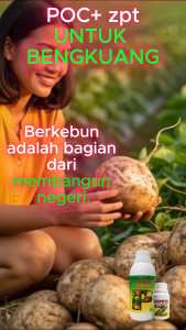 Pupuk Bengkuang POC + ZEPETE | Pembesar Umbi Cepat Panen Manis dan Aman untuk Pertanian Organik