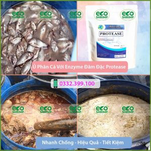 1kg Men ủ Phân Cá ENZYME PROTEASE nguyên liệu nhập khẩu 100% xử lý nước ủ phân cá hàm lượng cao# gói 1kg
