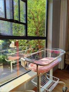 Genuine Goods Japanese Balemon Parababy Crib Classy Confinement Club for Newborn Baby