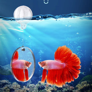 Aquarium Betta Training Mirror Acrylic Hang-on Floating Mirror For Fish Tank Betta Flowerhorn Brontosaurus Playing Toy