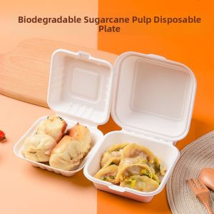Disposable Paper Pulp Meal Box
