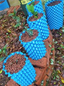 Garden Fence Bonsai High Enclosure Fruit Tree Bingo Nut Special Extra Thick and Durable Blue Root Control Device Enclosure Tree Board Root Blocking Board Manufacturer