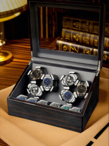 CANXUAN | Automatic Winding Watch Shaker