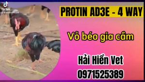15kg PROTIN- ADE - BUNG LÔNG BẬT CỰA ĐỎ TÍCH KÍCH MÀO TĂNG THỜI GIAN KHAI THÁC TRỨNG