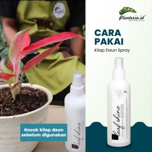 Leaf Shine Kilap Daun Organik Spray 250ml by Bitan