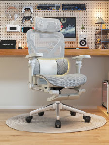 SAMEDREAM | Ergonomic Comfort Office Chair