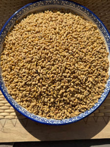 Soybean Farm Self-Planted 2.50kg Small Soybean Bean Sprouting Special Bean Soybean Milk Kidney-Shaped Old Variety Non-GM Soybean