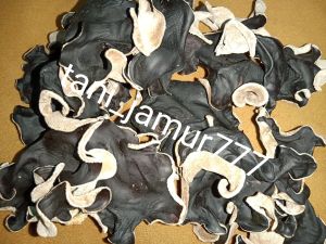 Jamur kuping kering Grade A 250gram