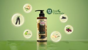 [Phiên bản cao cấp] Combo Dầu gội + Dầu xả Fresh Thảo mộc dưỡng sinh Sạch gàu mềm mượt 480g + Phục hồi và Dưỡng mượt tóc hư tổn 380g