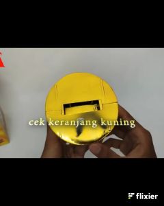 Kucing Hoki Lucky Cat Batrai Kucing Hoki Kucing Rejeki Lucky Cat Baterai