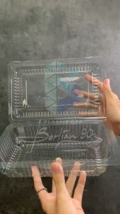 Mika Buah 500gr 2A: Kemasan Makanan Terbaik & Food Grade