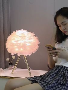 Lampu Tidur Feather Bedroom Table Lamp Modern Bedside Lamp Goose Feather Lamp
