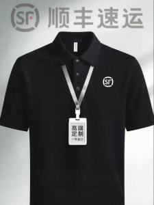 BAILISI | Custom Logo Quick Dry Mens Polo T-Shirt
