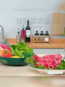 Máy Rã Đông Thức Ăn Kayuso JY210801 Công Nghệ Ion An Toàn Cho Thực Phẩm-Hàng Nhập Khẩu Chính Hãng