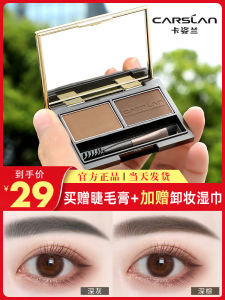 Waterproof Sweatproof Long-lasting Makeup Tint for Beginners Double Color Eyebrow Powder Womens Cosmetic Tool by CarSLan