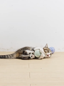 ของเล่นแมวเชือกบอล (4 ซม.) ลูกบอลของเล่นสำหรับสัตว์เลี้ยง ความต้านทานต่อการกัดและการเล่นที่ทนทาน ลูกบอลเชือกสำหรับสัตว์เลี้ยงแมว