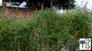 ไฟฝังพื้นพลังงานแสงอาทิตย์ 15 in 1 ไฟสวนพลังงานแสงอาทิตย์โคมไฟภูมิทัศน์กันน้ํากลางแจ้งสําหรับลานทางเดินลานตกแต่งถนนรถแล่น Solar Underground Lawn Light