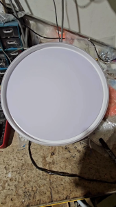 Premium Nova LED Ceiling Light 39cm White Gold Remote Dimmable Available