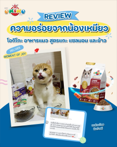 [แถมถุงเล็ก 2 ถุง] OKIKO โอกิโกะ อาหารแมว All Ages สำหรับแมว อายุตั้งแต่ 4 เดือน ขึ้นไป สูตรแกะ แซลมอน และข้าว ขนาด 9 kg