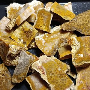 Batu Teratai Kuning Super Unik / Bahan Teratai Kuning Natural/ Lempengan Hq