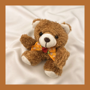 Wireless Bluetooth Teddy Bear AirPods4 Protective Case Second Generation  pro Earphone Cover Third Generation AirPods2