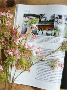 Hoa Pha Lê Nhỏ Hoa Nhựa Hoa Lụa Trang Trí Nhà Phòng Khách Phòng Làm Việc Trang Trí Sân Khấu Hoa Lá Xanh Bông Hoa Tươi