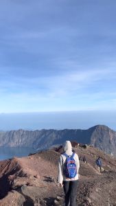 Elfs Shop - Tas Ransel Daypack 20L Water Resistant Dengan Pluit 322