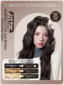 Eisansun | Non-Peroxy Plant-Based Black Hair Dye