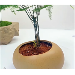 Rêu giả trang trí rêu nhân tạo phủ gốc cây tiểu cảnh sân vườn giống thật dạng sợi nhiều màu -AENEA