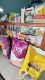 Adnan Petshop