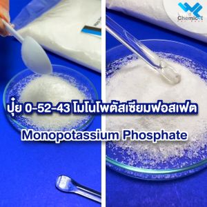 โมโนโพแทสเซียมฟอสเฟต ปุ๋ยเกล็ด Mono potassium phosphate (ปุ๋ยเกล็ด สูตร 0-52-34) MKP