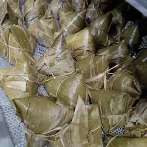 5 pcs HOME MADE HOKKIEN BAK ZHANG VACUUM PACKAGING 粽子 肉粽 鲜肉大粽子