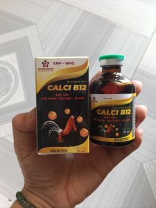 Calci B12 bổ sung canxi cho gà đá gà chọi. Chai 50ml.