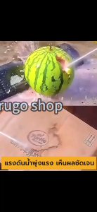 เครื่องฉีดน้ำ ปืน 299V สาย เครื่องล้างรถ ฉีดน้ำแรงดัน สำหรับฉีดฟิลเลอร์ หรือการสูบสินค้า