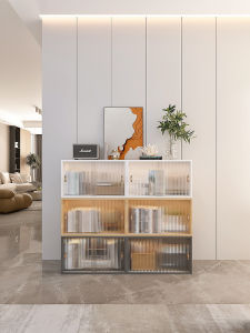 TULANGMAO | Dustproof Transparent Storage Shelf
