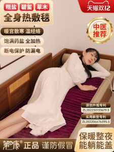 Therapeutic Electric Blanket Hot Compress Bag for Massage Bed Use in Beauty Salons Sea Salt Artemisia Upright Blanket for Home Use