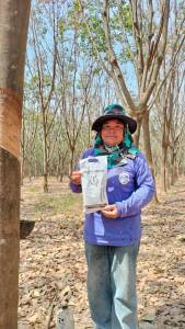 มองโกล ผลิตภัณฑ์ทาหน้ายางพารา บำรุงต้นยางพารา