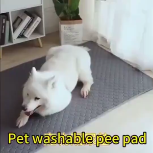 Washable Reusable Dog Pee Pad Waterproof Non Slip Puppy Potty Training Pad Absorbent Mesh Pet Urine Mat for Dogs Cats