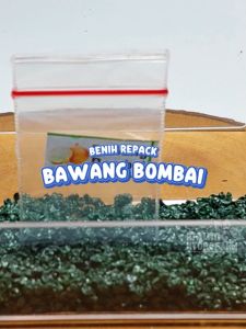 Benih Bawang Bombay Unggulan & Berkualitas