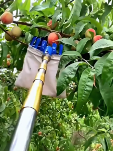 【1 เเถม 6】10ปีก็ไม่พัง! ไม้สอยผลไม้ ไม้สอยมะม่วง ตะกร้อสอยมะม่วง ที่สอยมังคุด ตะกร้อสอยผลไมั ทีเก็บผลไม้ วัสดุสแตนเลส ปลอดภัย และสะดวกสบาย ด้ามยืดหดได้5/6/7/10M ไม้ สอยผลไม้ มืออาชีพ กรรไกรตัดกิ่ง ไม้สอยมะม่ว อุปกรณ์เก็บผลไม้บนที่สูง ที่สอยผลไม้สูง