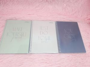 STERLING PAPER DOUBLE LOOP SPIRAL NOTEBOOK (SHEER LINES) #360935 80LEAVES