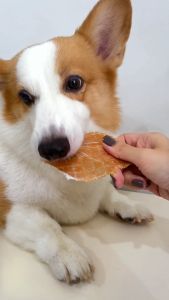 521 Da Paws Dog & Cat Treats 100% Natural Chicken & Duck Meat Jerky Promo Pack 200g / Pet Training Snacks 宠物狗狗猫咪鸡肉鸭肉干