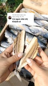 500gr Khô Cá Ngừ Con To Thịt Nhiều Chiên Nướng lai rai với bia thì rất tuyệt vời- ĐẶC SẢN MINH TRIẾT